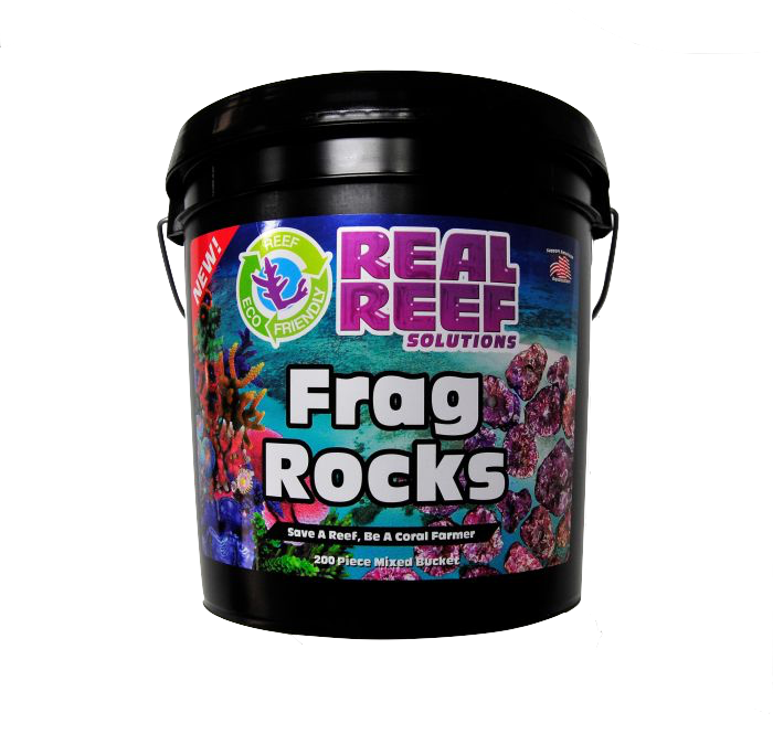 Real Reef Frag Rocks